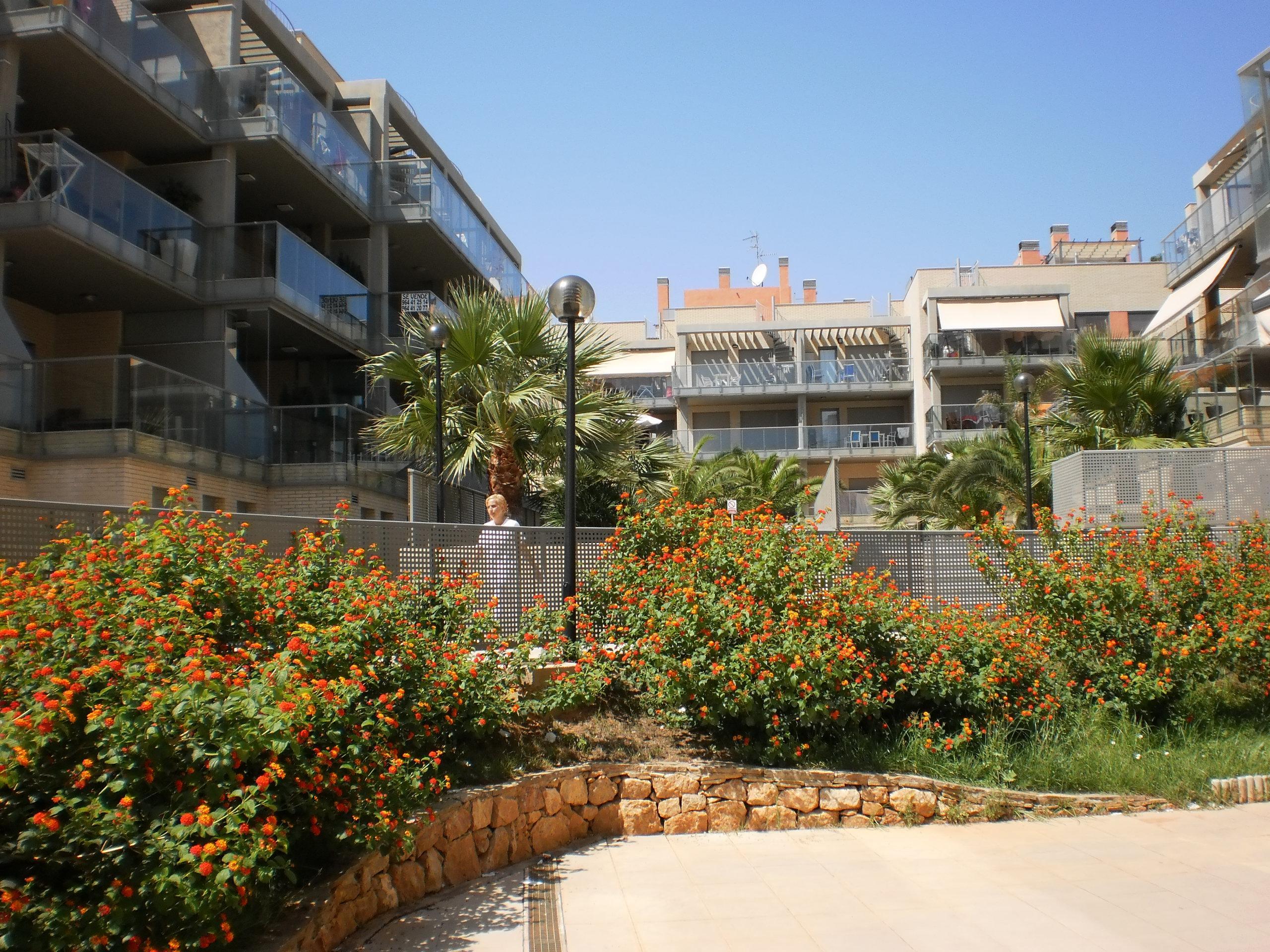 Alcocebre Suites Hotel Alcossebre Exteriör bild